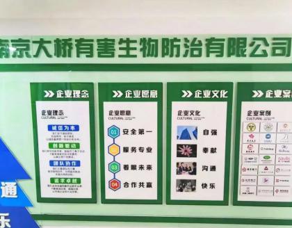 回首2024，展望2025：溫暖與榮耀同行